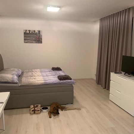 Modern Apartment In The City Center Pilsen Exterior foto